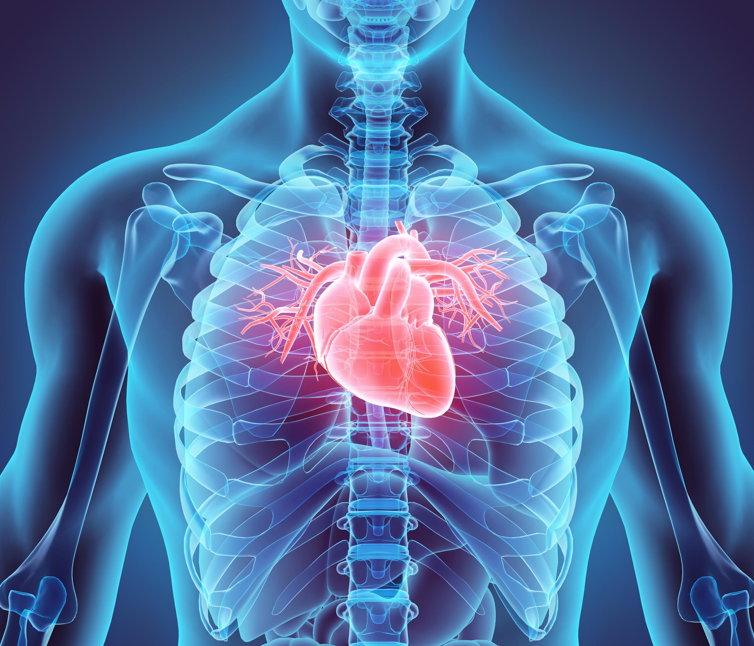 Cardiologia | Arium Tradição em Medicina